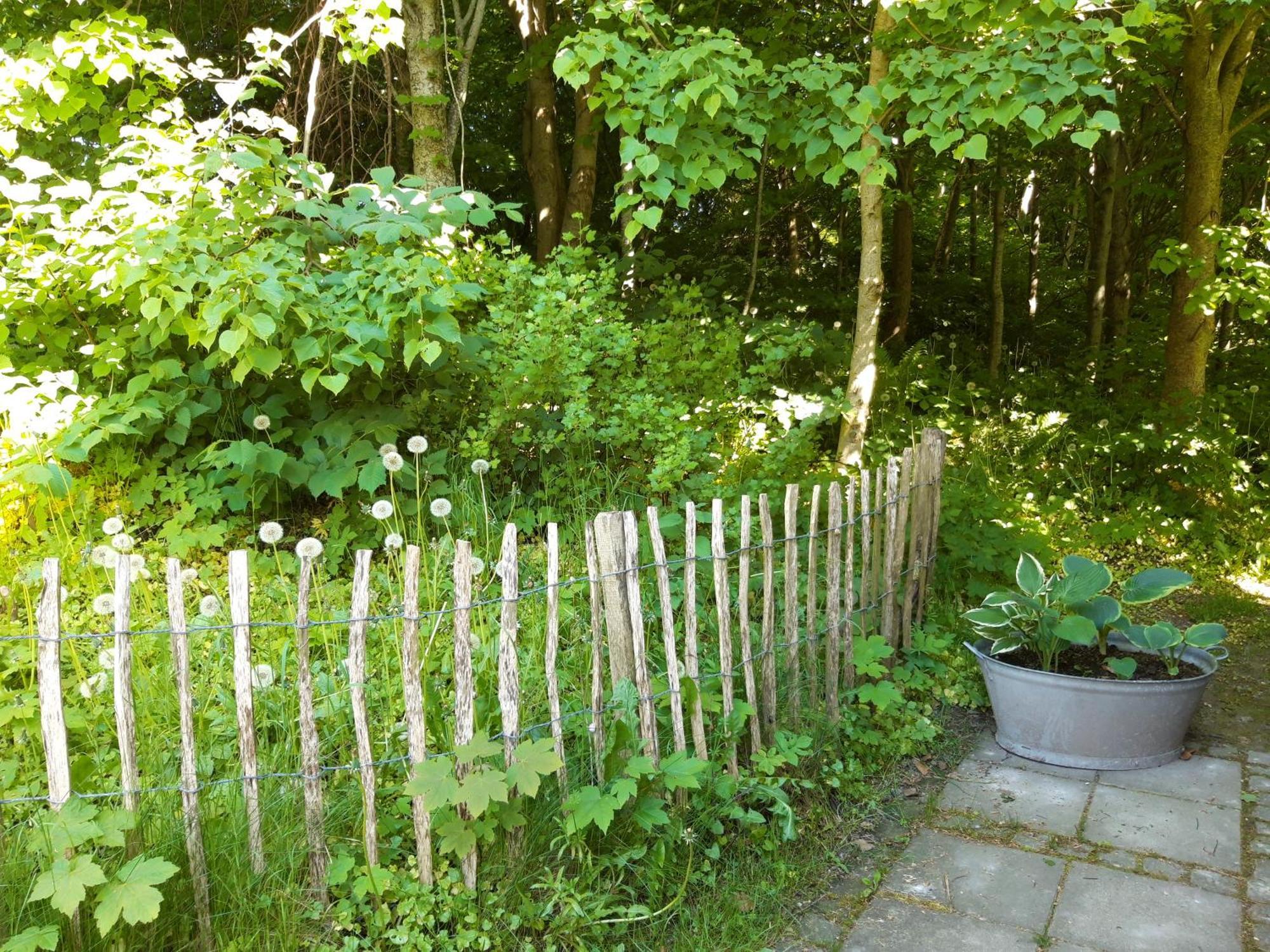 Krogsgaarden B&B Nibe Eksteriør billede