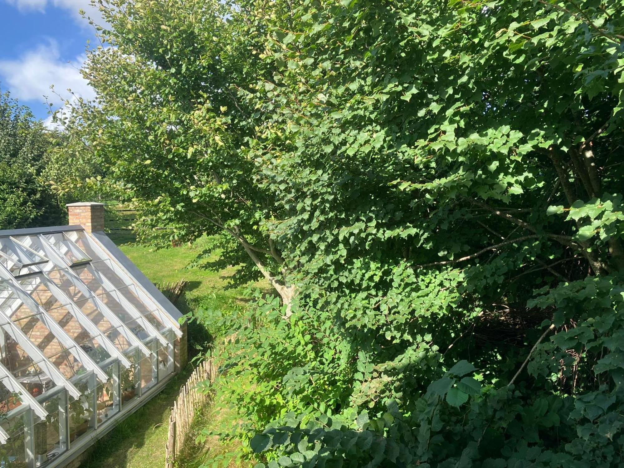 Krogsgaarden B&B Nibe Eksteriør billede